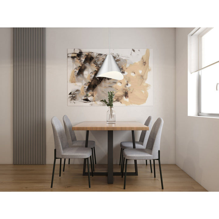 1 Light Pendant