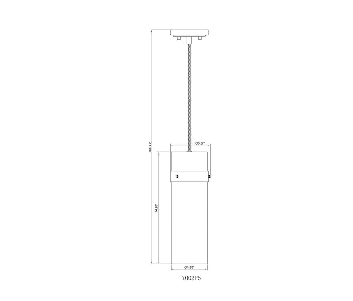 1 Light Pendant