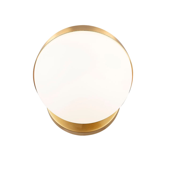 1 Light Wall Sconce