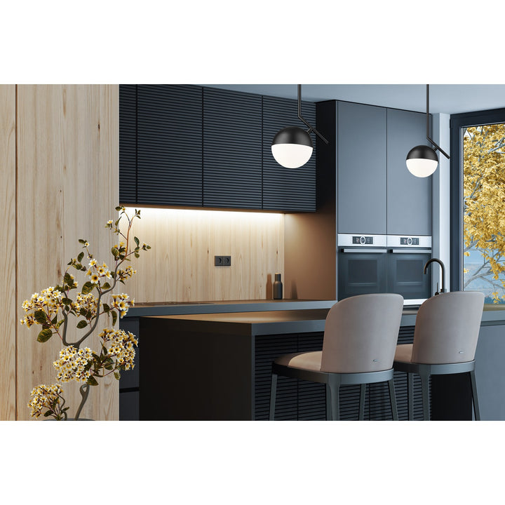 1 Light Pendant