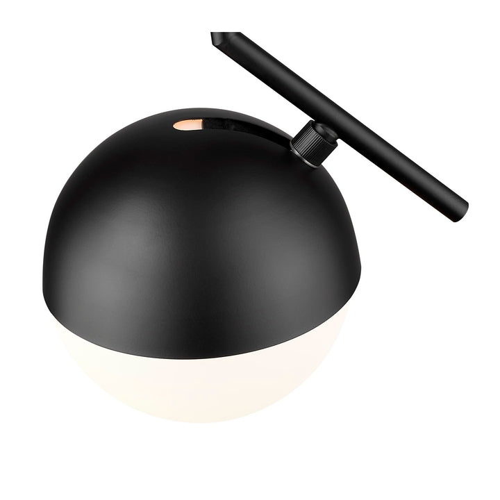 1 Light Pendant