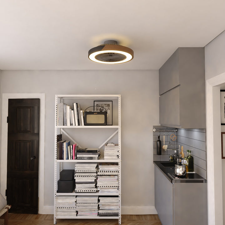 20-In. Led Ceiling Fan Matte Black