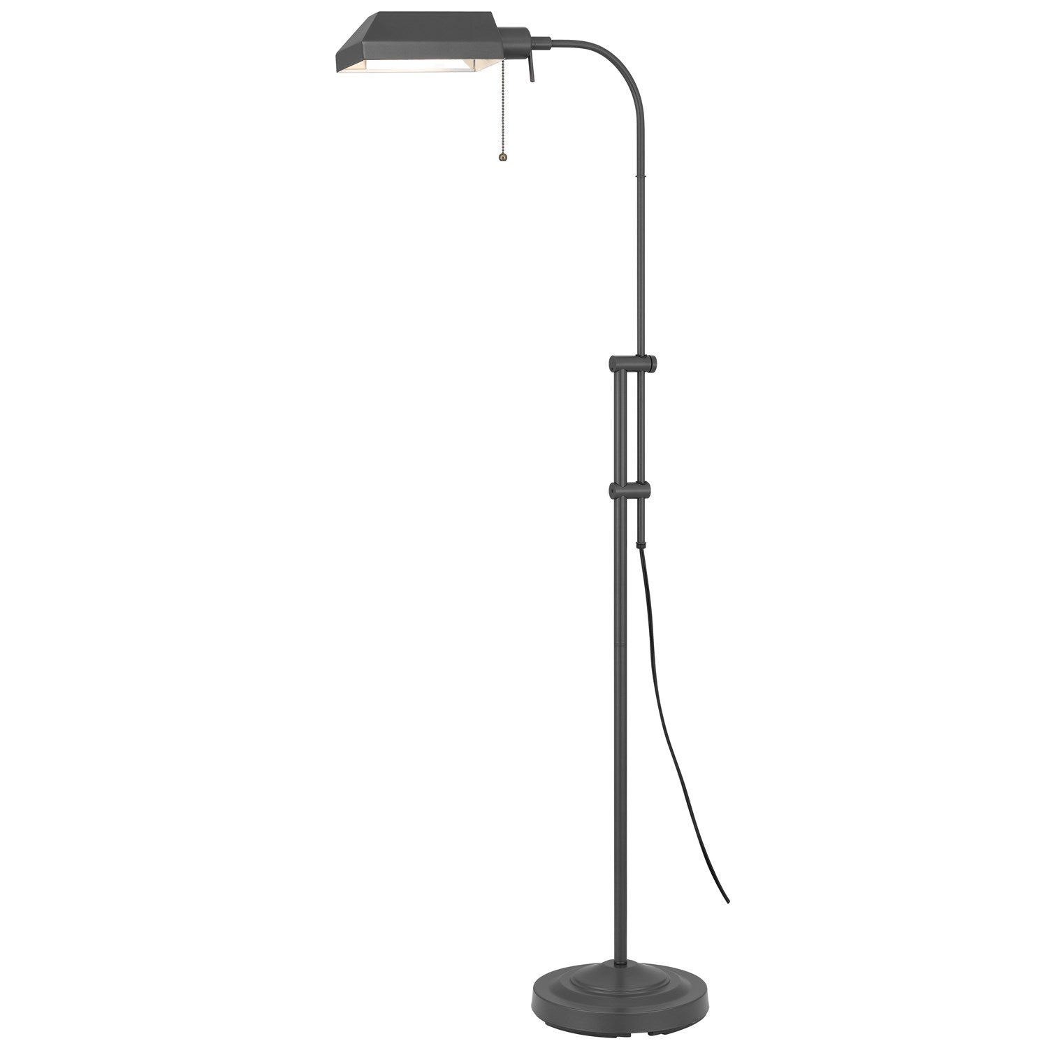 100W  Floor Lamp