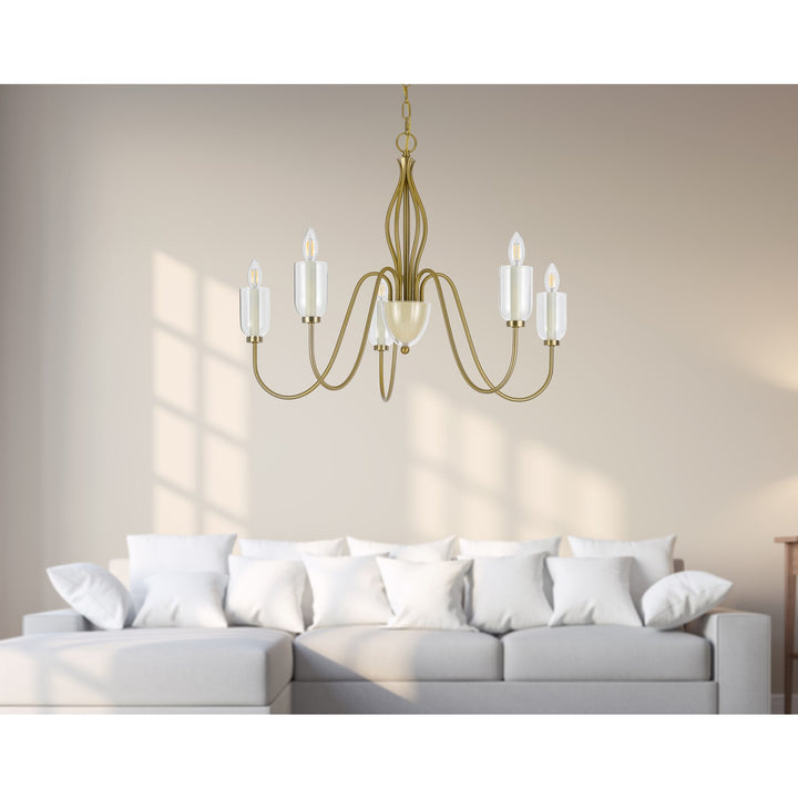 60W X 5  Metal Chandelier With Glass Shade