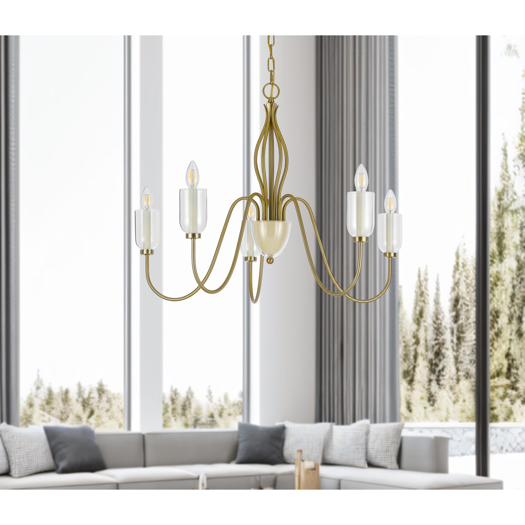 60W X 5  Metal Chandelier With Glass Shade