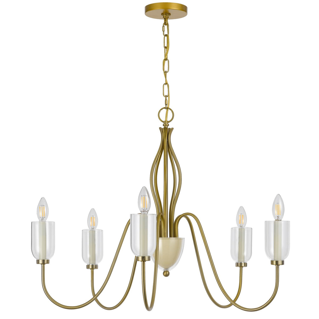 60W X 5  Metal Chandelier With Glass Shade