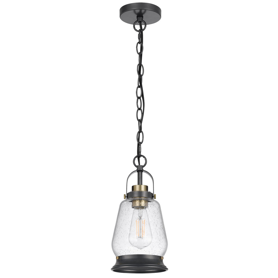 60W  Metal Pendant Light With Glass Shade by CAL Lighting
