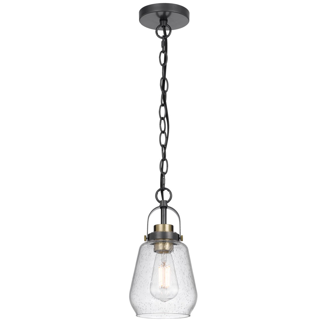60W  Metal Pendant Light With Glass Shade