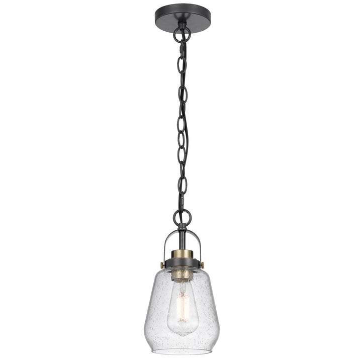 60W  Metal Pendant Light With Glass Shade