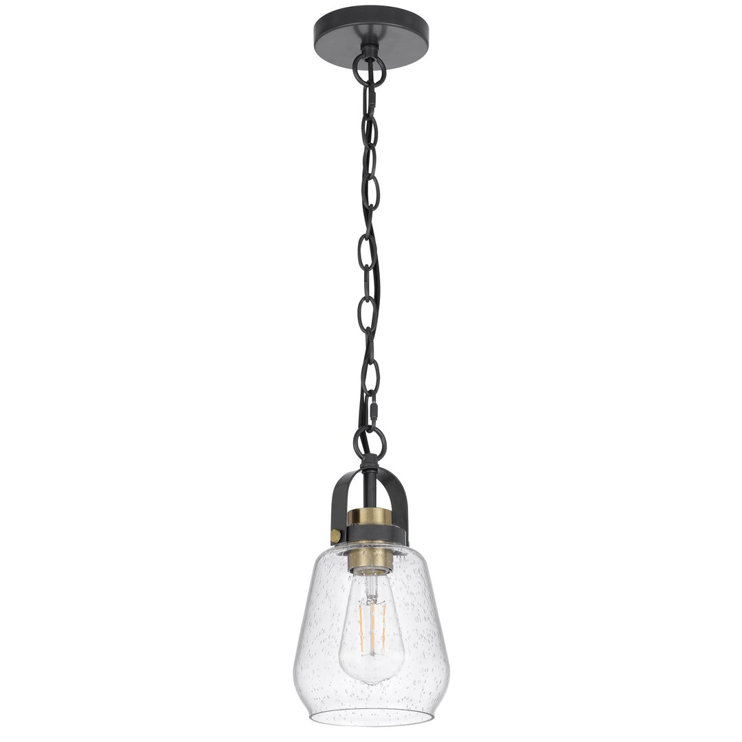 60W  Metal Pendant Light With Glass Shade