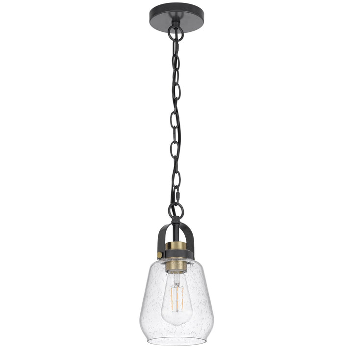 60W  Metal Pendant Light With Glass Shade