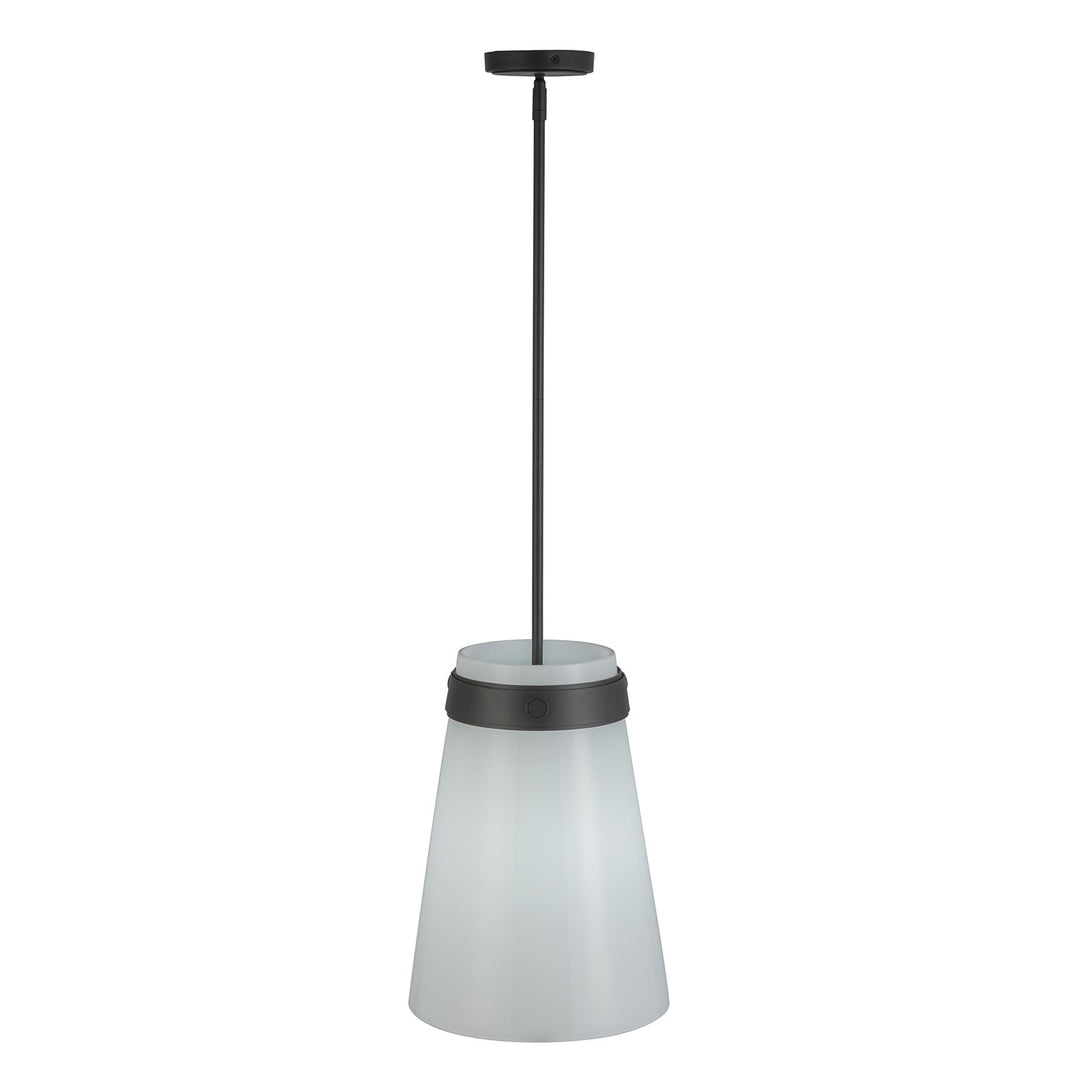 1 Light Pendant 12", Black