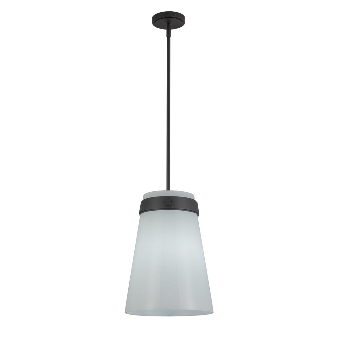 1 Light Pendant 12", Black