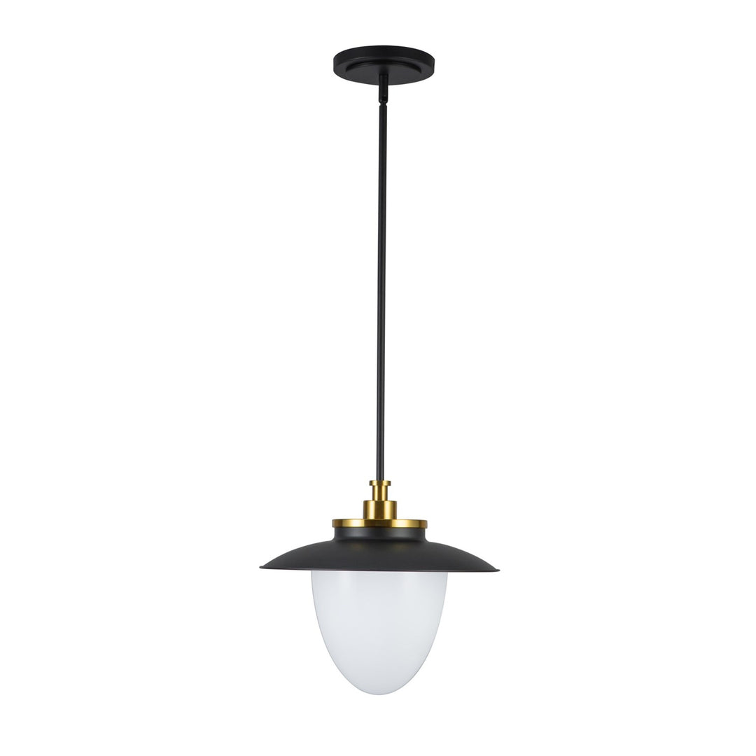 1 Light Pendant 15", Black by Artcraft