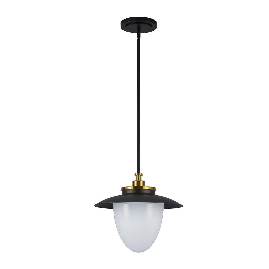 1 Light Pendant 15", Black