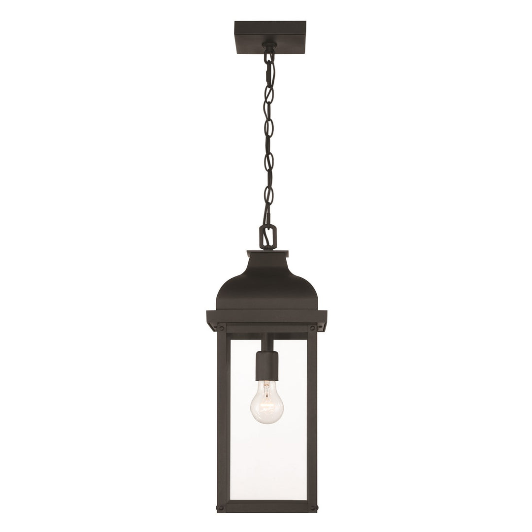 1 Light Outdoor Pendant, Black