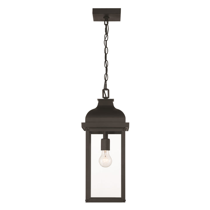 1 Light Outdoor Pendant, Black