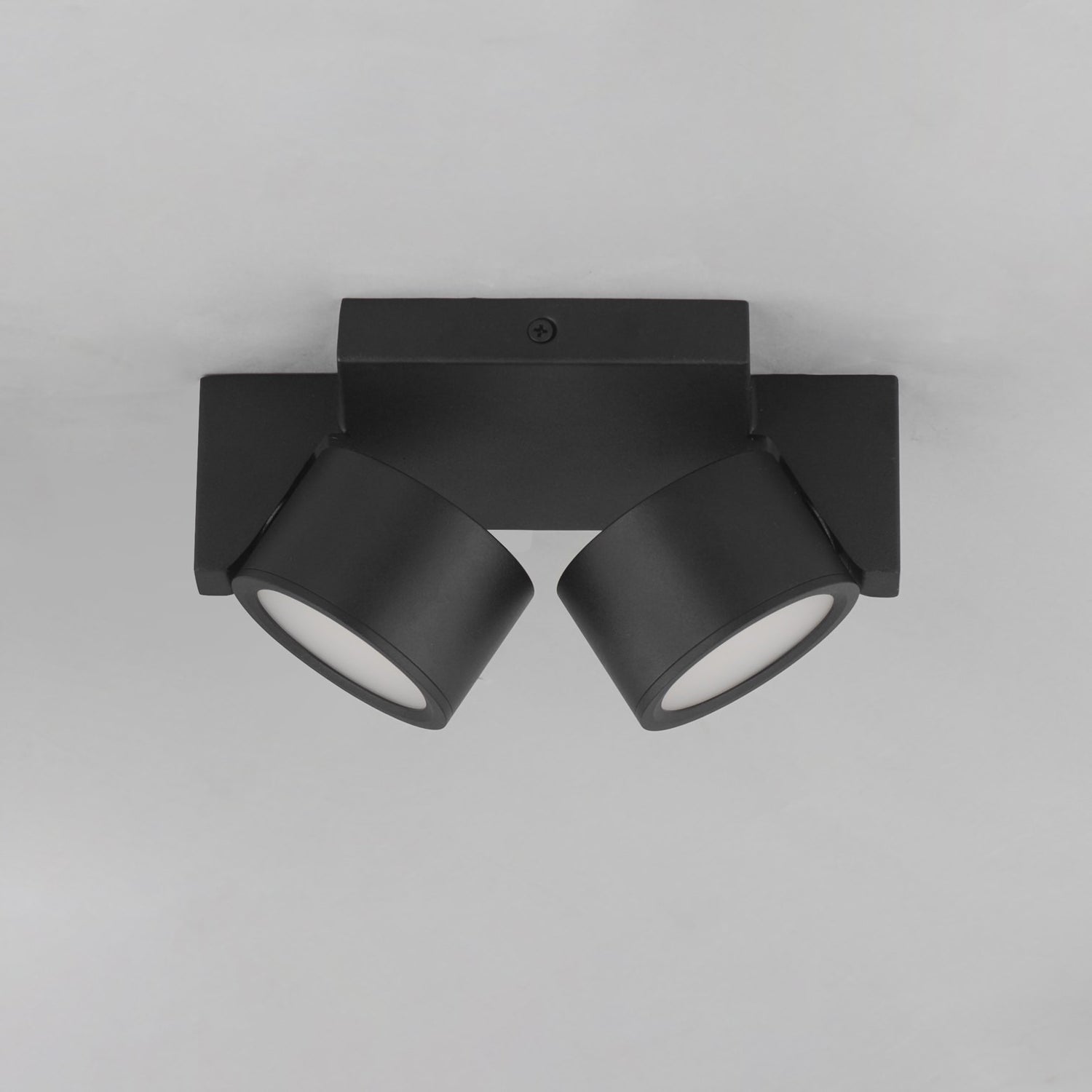 2-Light Led Flush
