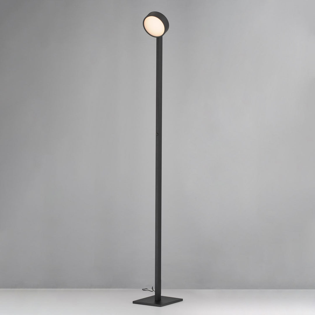 Adjustable Floor Lamp