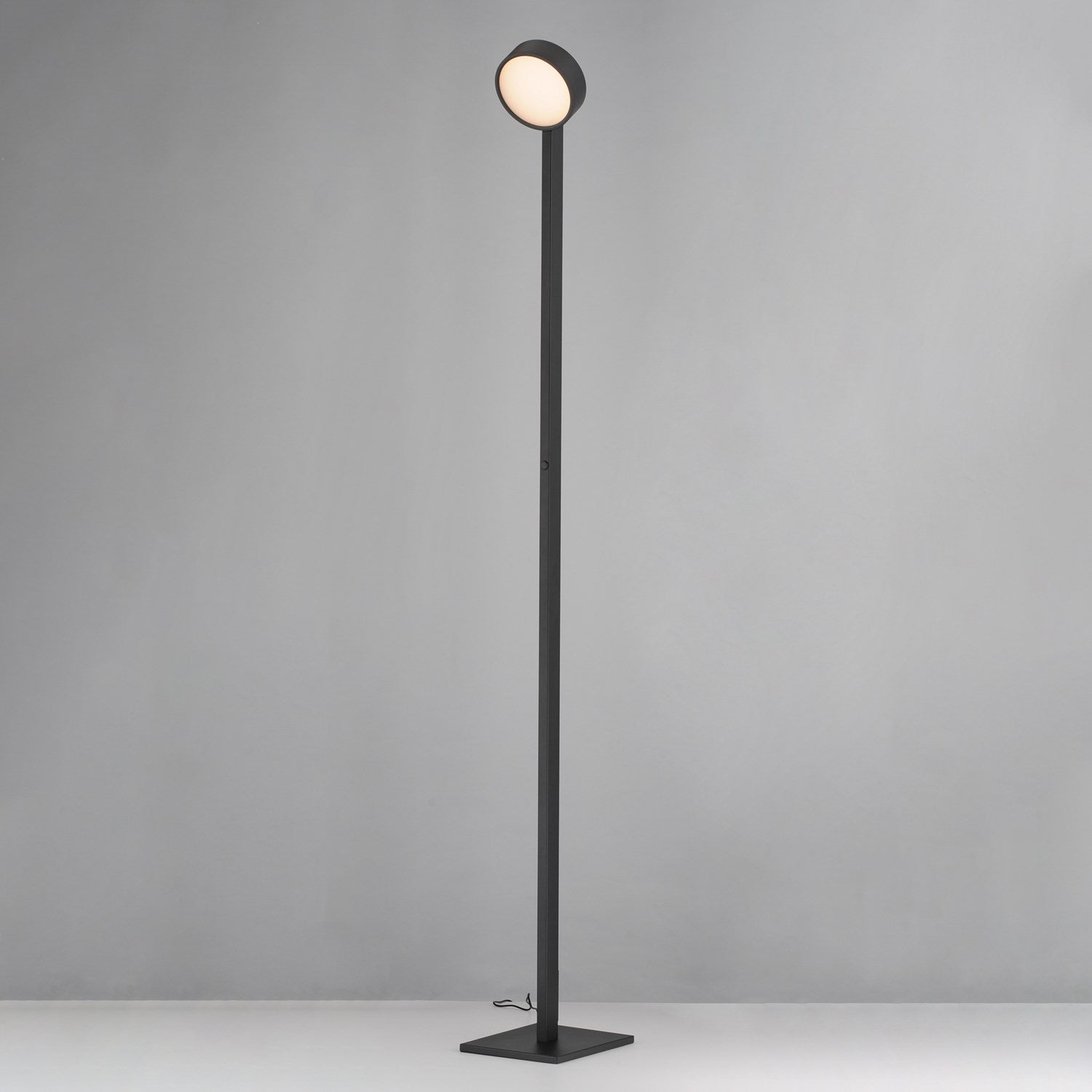 Adjustable Floor Lamp