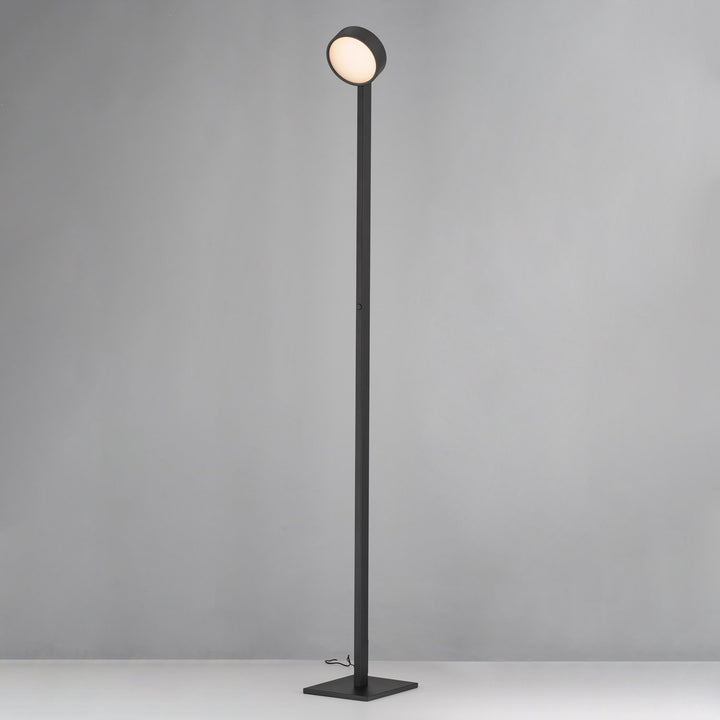 Adjustable Floor Lamp