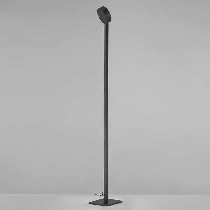 Adjustable Floor Lamp