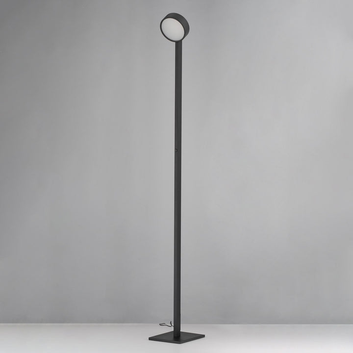 Adjustable Floor Lamp