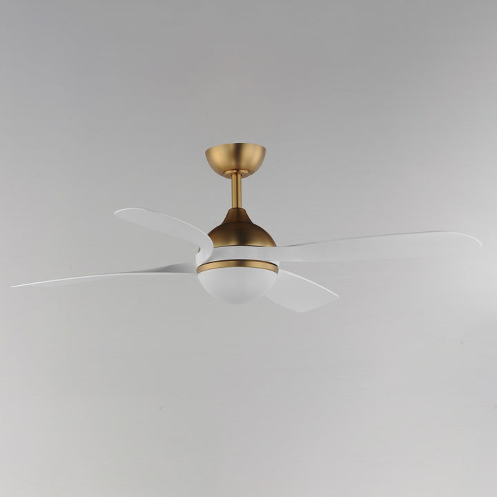 Bola 52" Indoor Fan W Led Light Kit