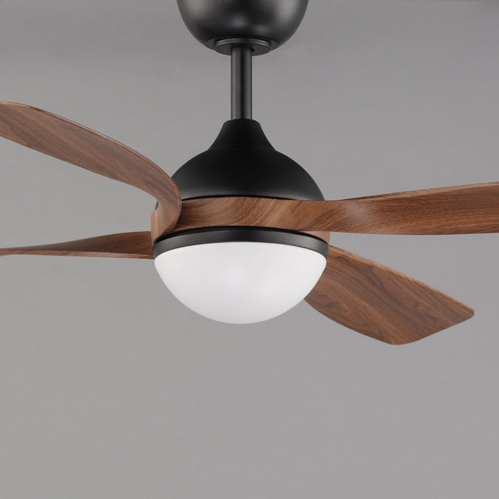 Bola 52" Indoor Fan W Led Light Kit
