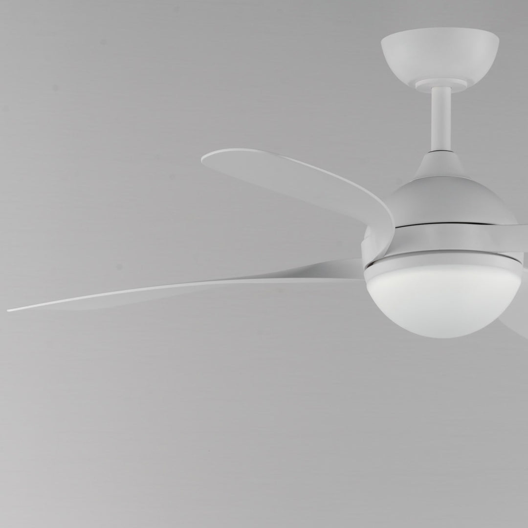 Bola 52" Indoor Fan W Led Light Kit