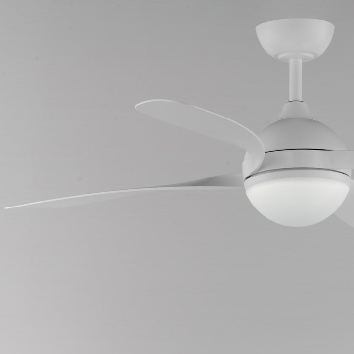 Bola 52" Indoor Fan W Led Light Kit