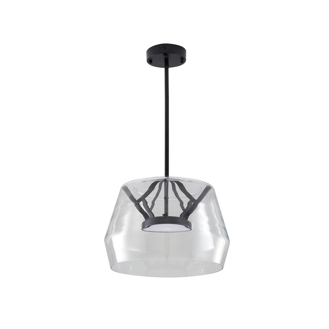 1-Light Black Led Pendant With A Clear Glass Shade