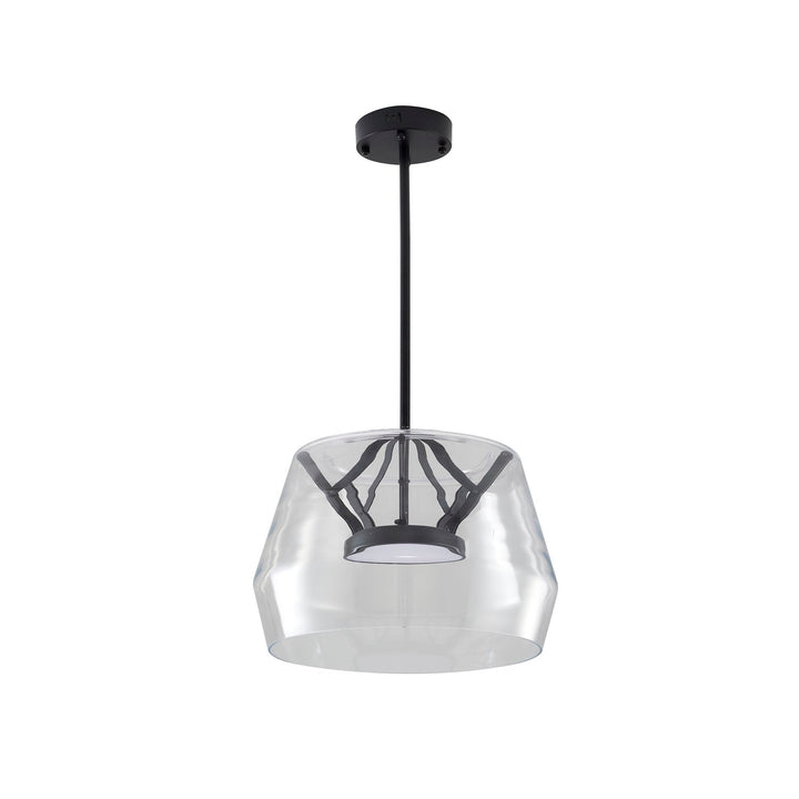 1-Light Black Led Pendant With A Clear Glass Shade