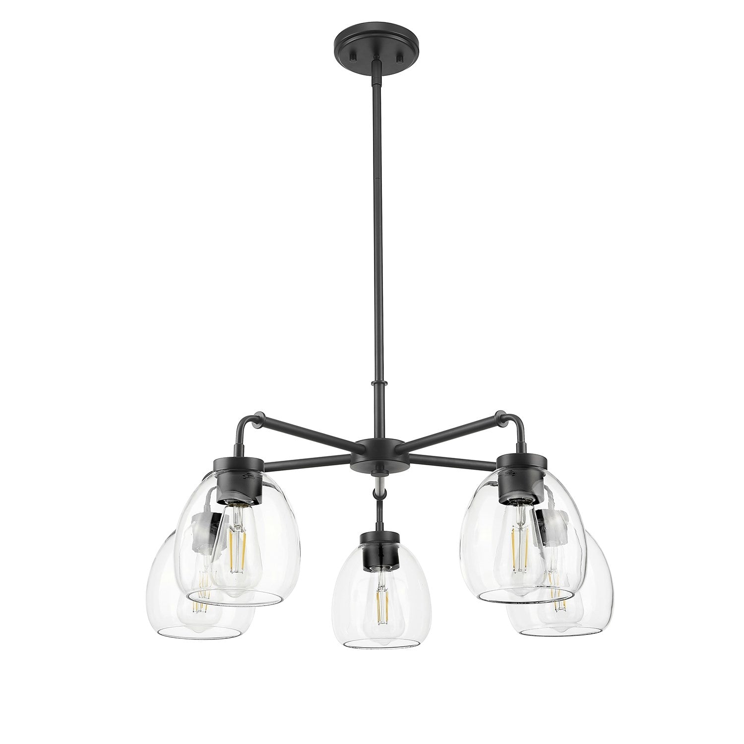 27 In. Matte Black 5-Light Chandelier With Clear Glass Globes by Acclaim Lighting