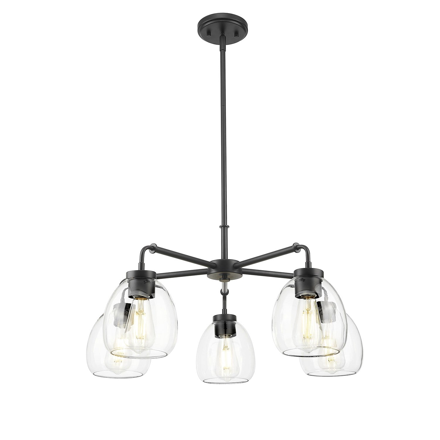 27 In. Matte Black 5-Light Chandelier With Clear Glass Globes