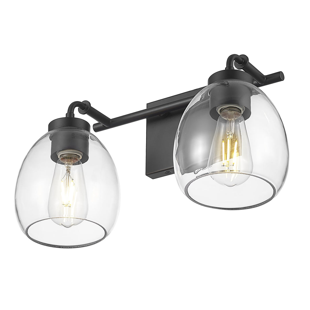 16 In. Matte Black 2-Light Vanity With Clear Glass Globes