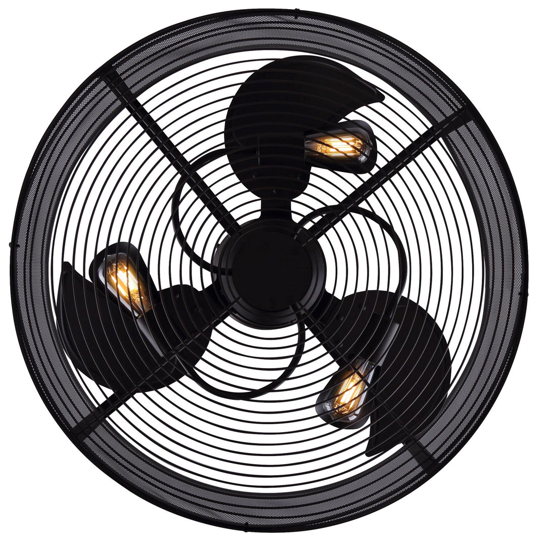 Ceiling Fan In Oil Rubbed Bronze Finish