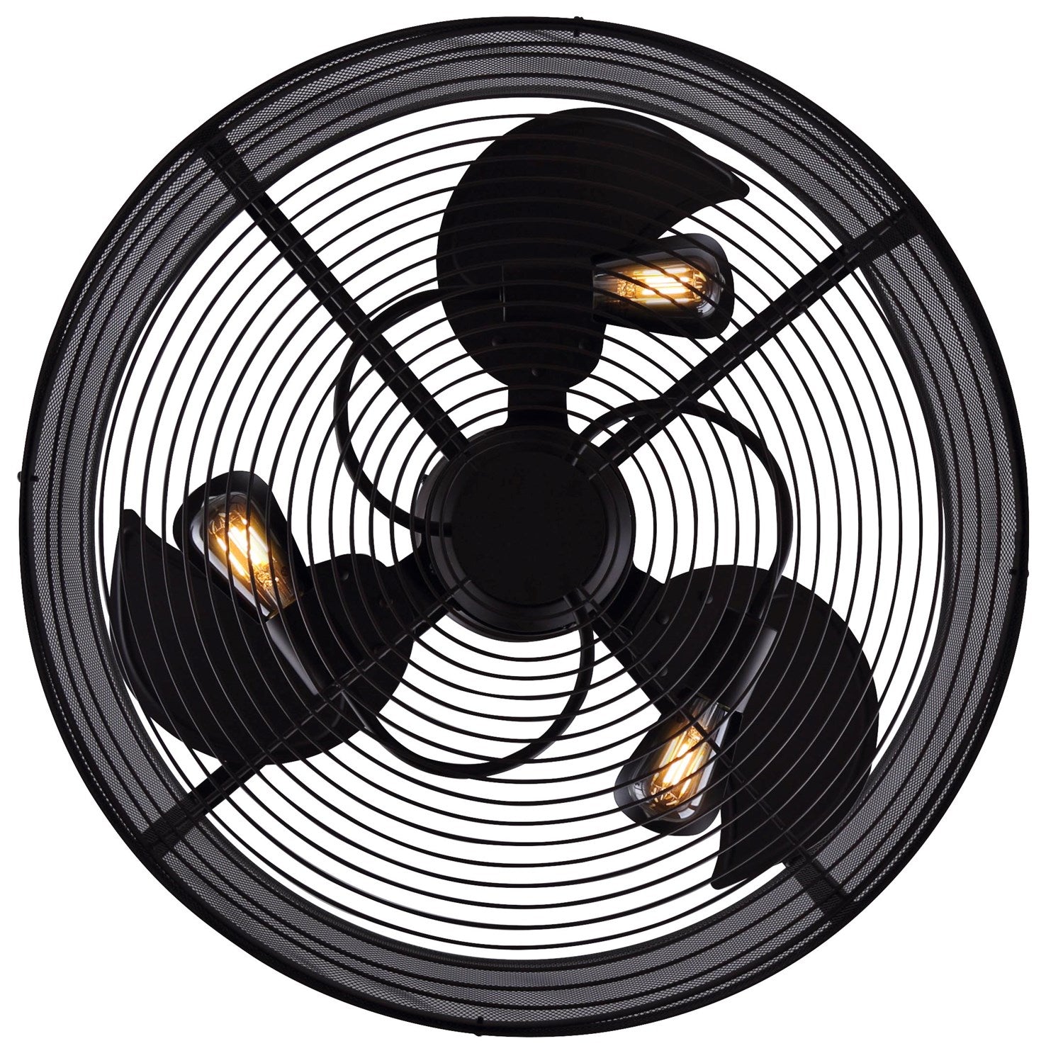 Ceiling Fan In Oil Rubbed Bronze Finish