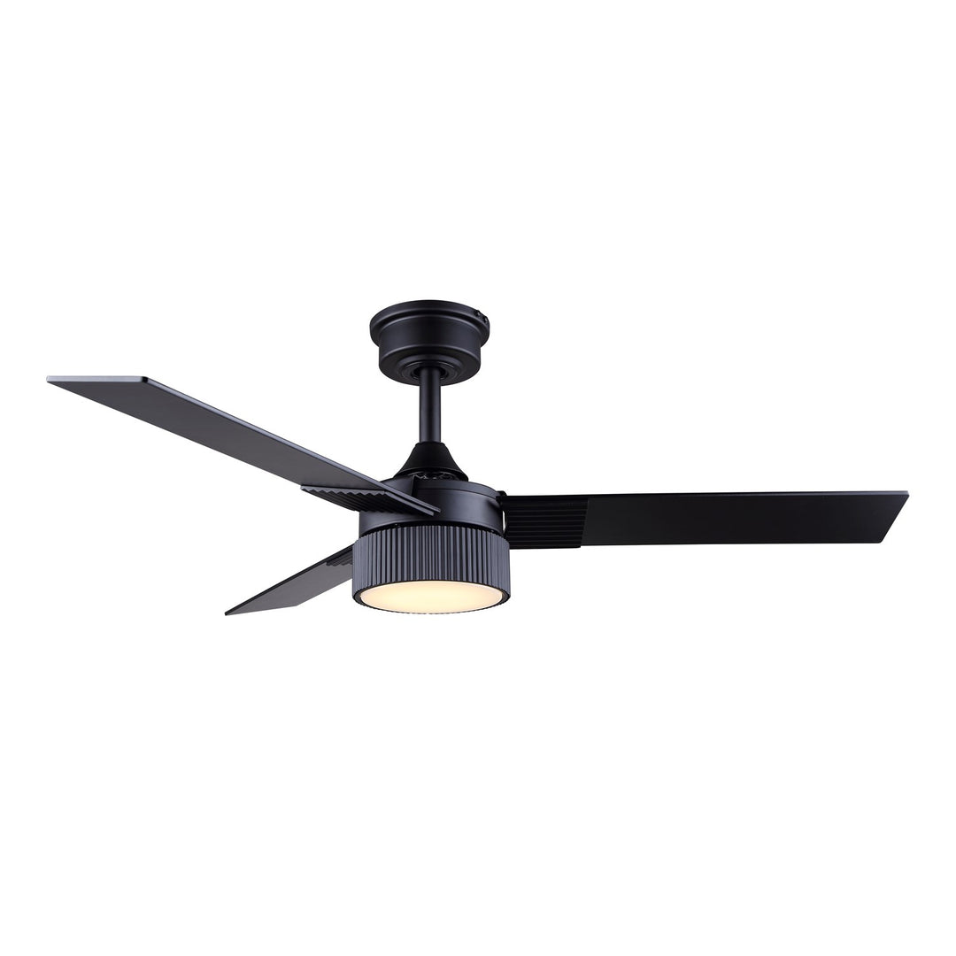 Ceiling Fan In Black Finish by Canarm