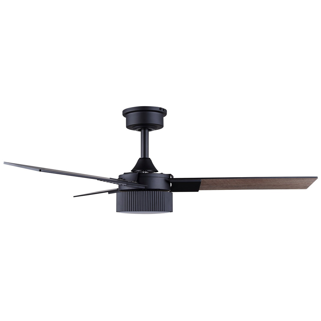 Ceiling Fan In Black Finish