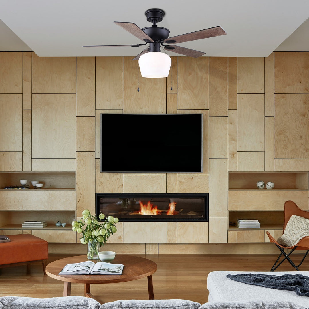 Ceiling Fan In Matte Black Finish