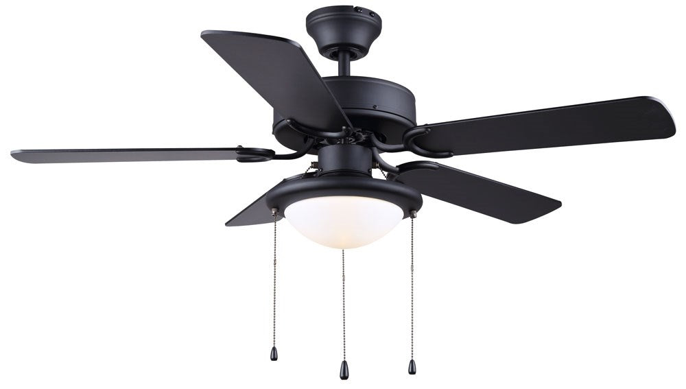 Ceiling Fan In Matte Black Finish