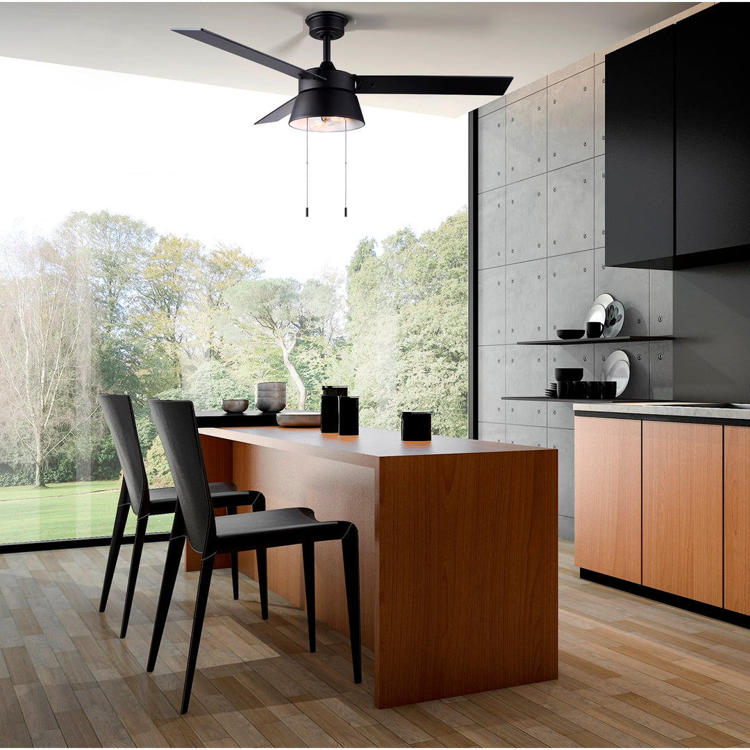 Ceiling Fan In Matte Black Finish