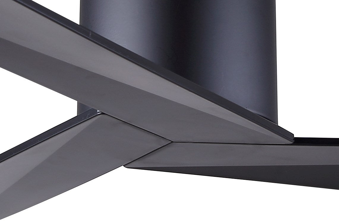 Ceiling Fan In Black Finish by Canarm