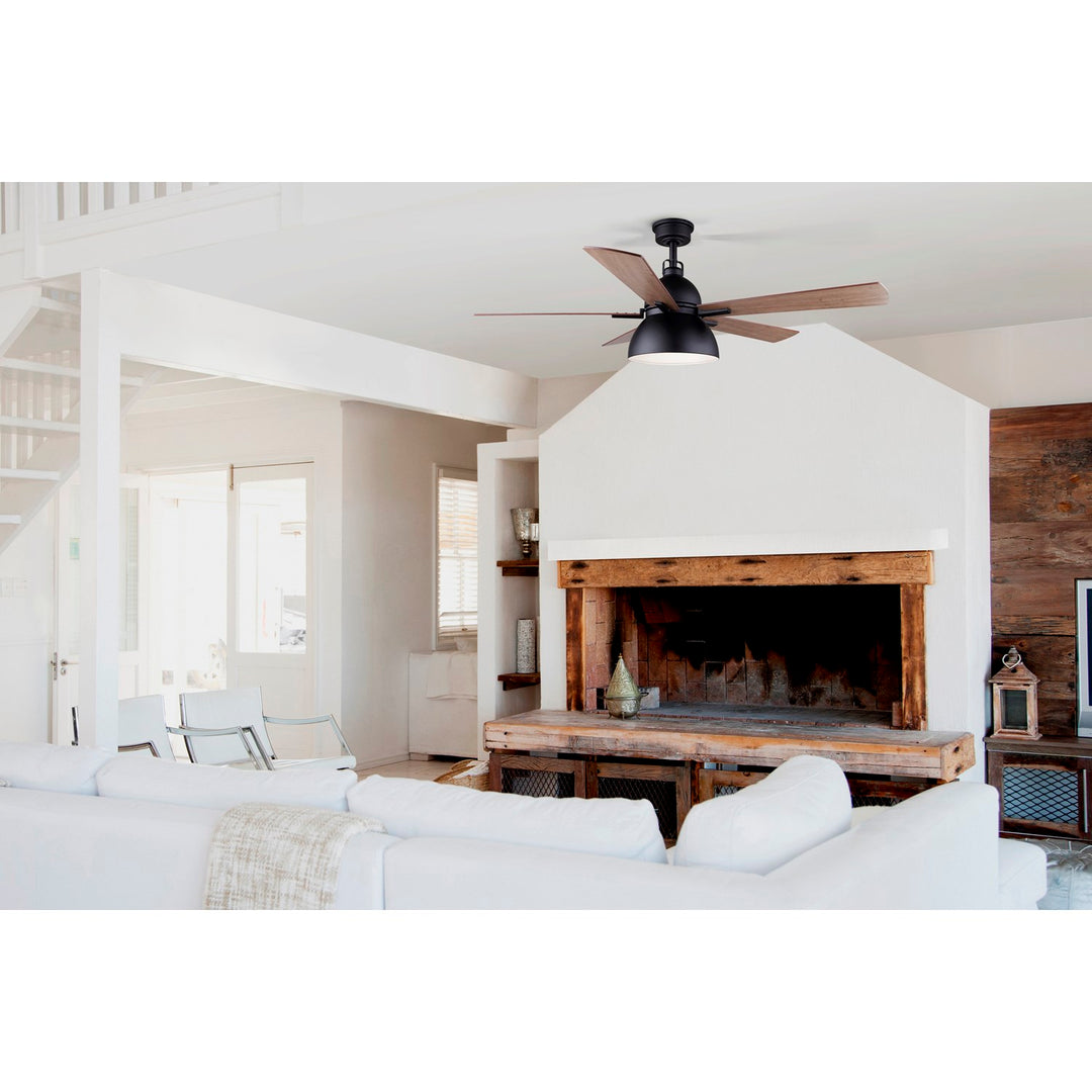 Ceiling Fan In Matte Black Finish