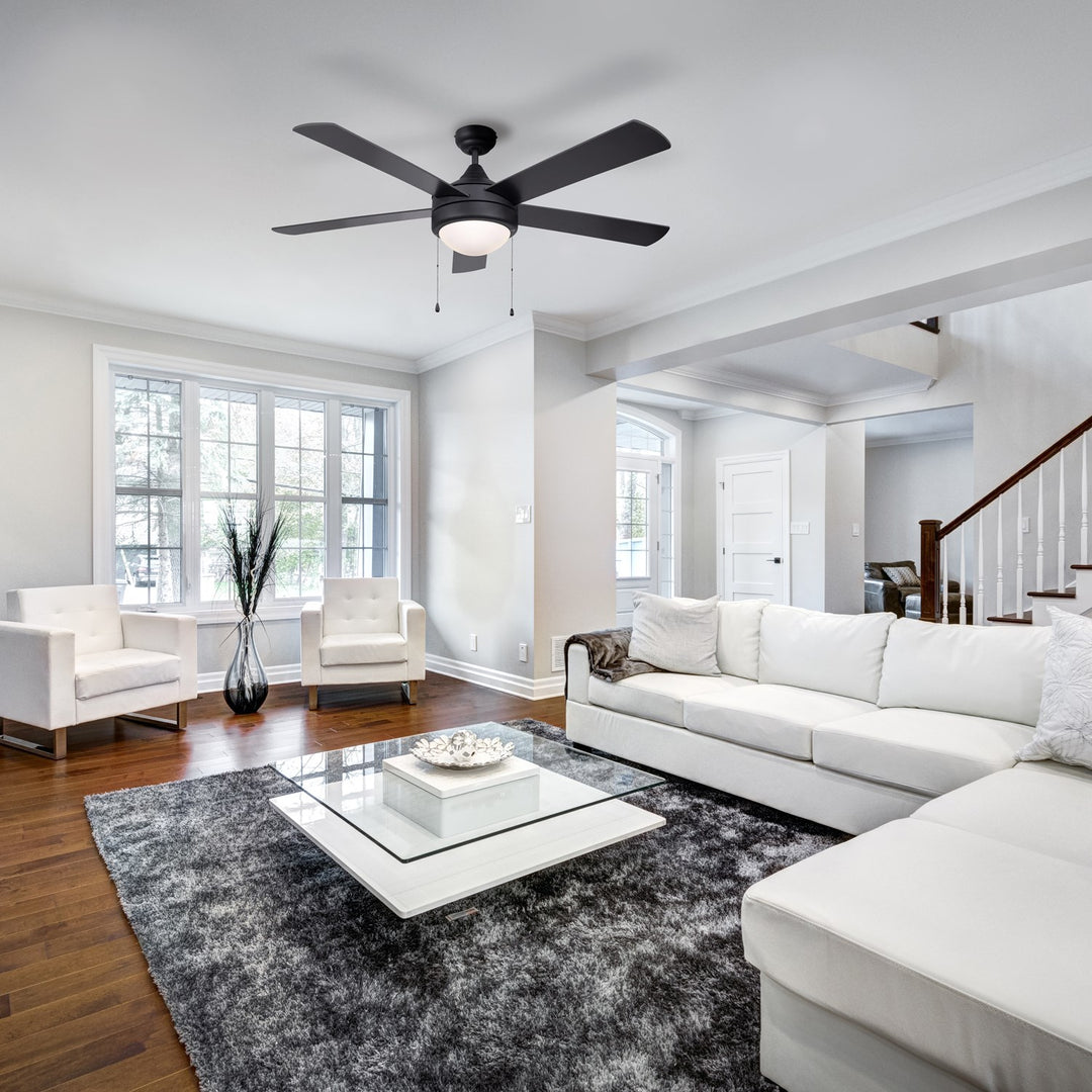 Ceiling Fan In Matte Black Finish