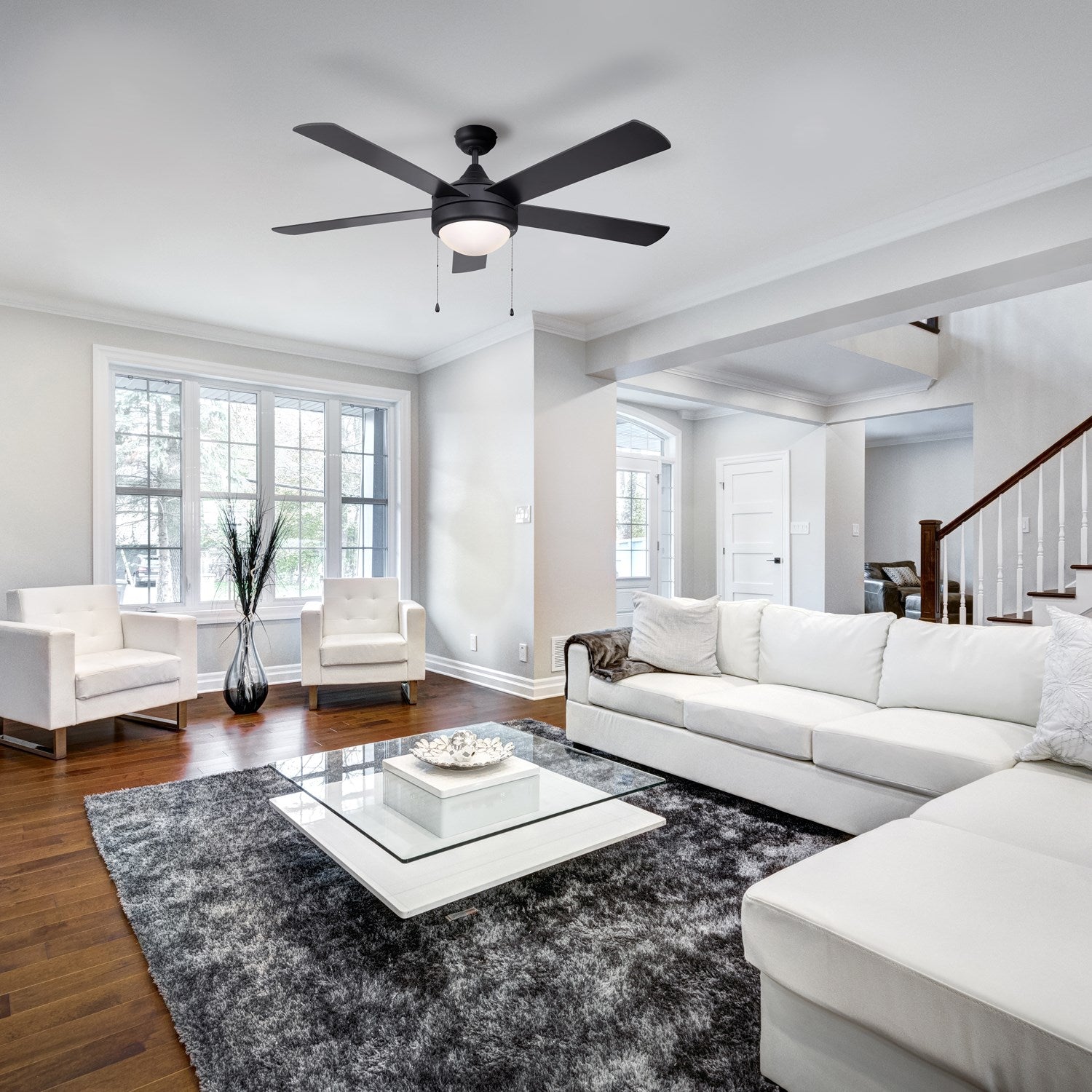 Ceiling Fan In Matte Black Finish