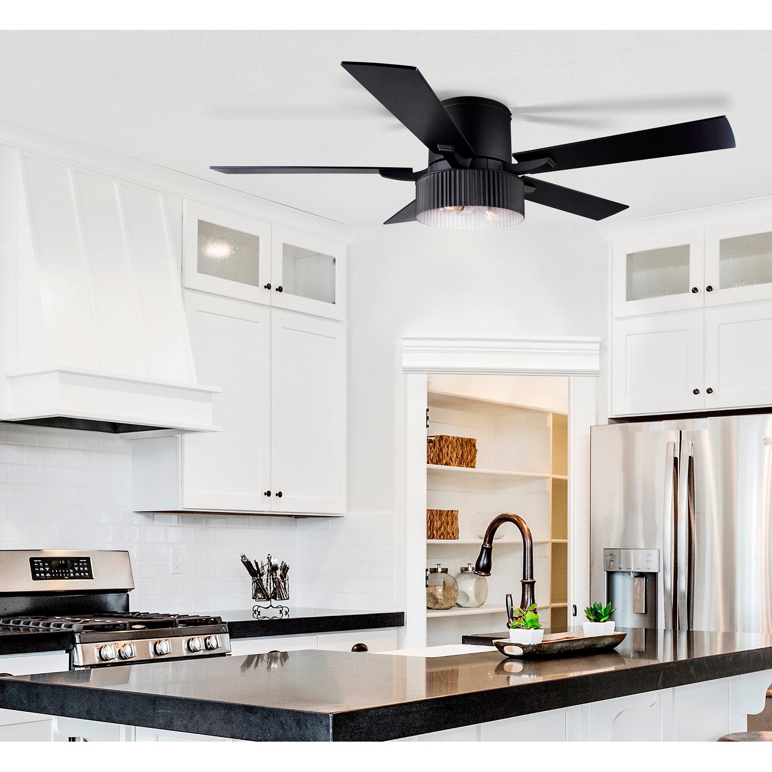 Ceiling Fan In Matte Black Finish