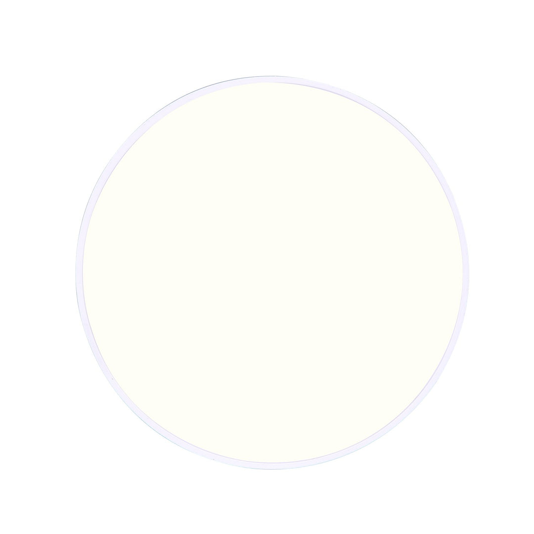 Flush Mount In White With Pvc Lens Finish