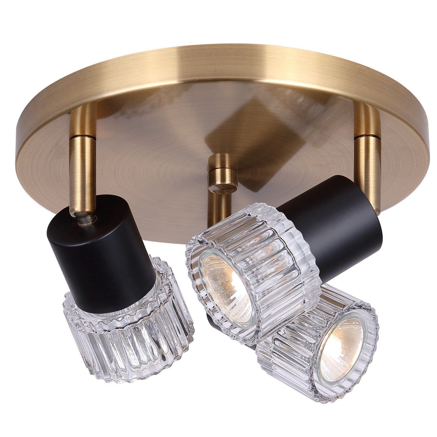 Track Lighting In Black/Gold Finish by Canarm